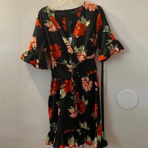 Pretty little things dress that has been never worn. In great condition.